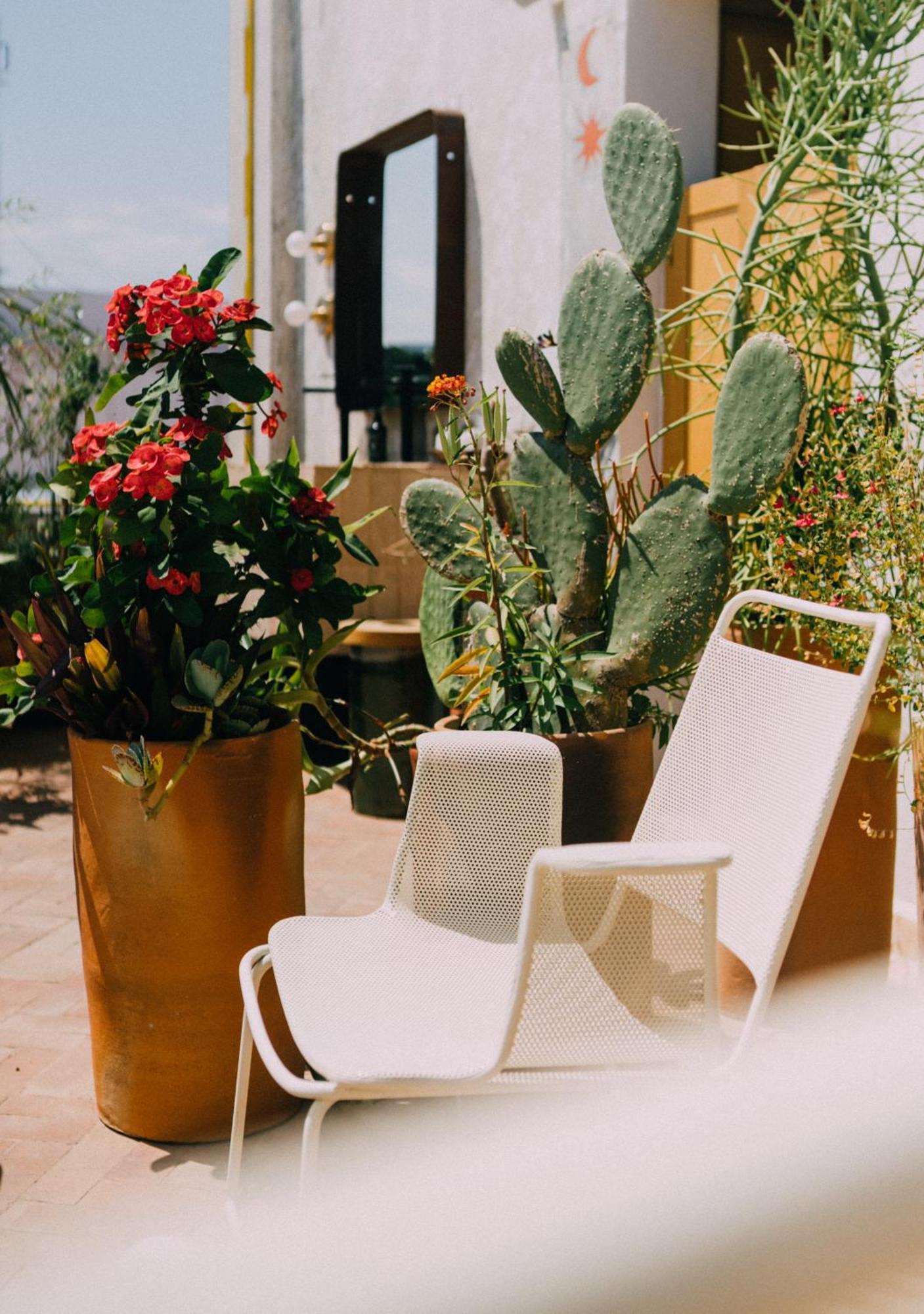 Casa Antonieta Ξενοδοχείο Oaxaca Εξωτερικό φωτογραφία