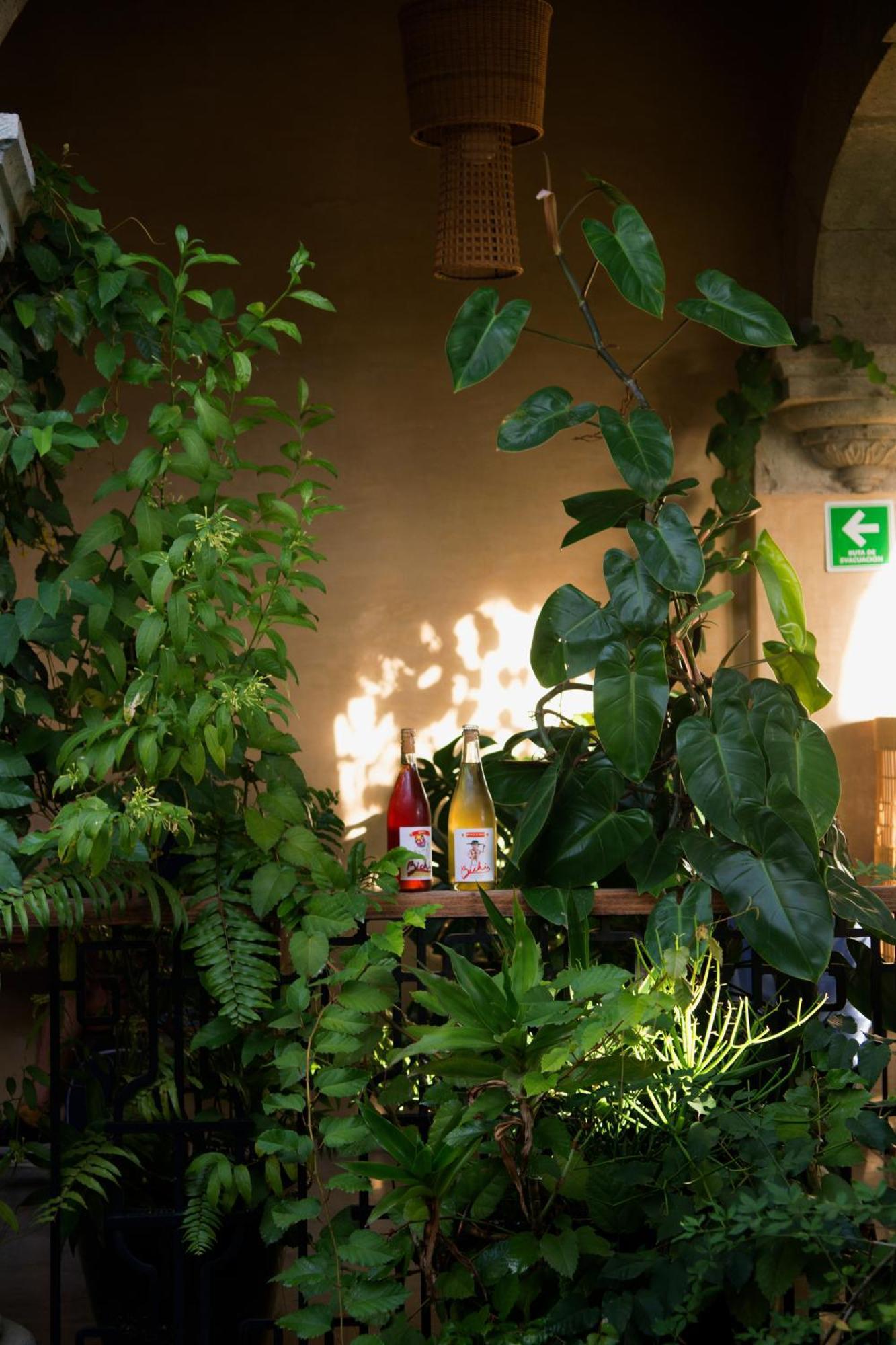 Casa Antonieta Ξενοδοχείο Oaxaca Εξωτερικό φωτογραφία